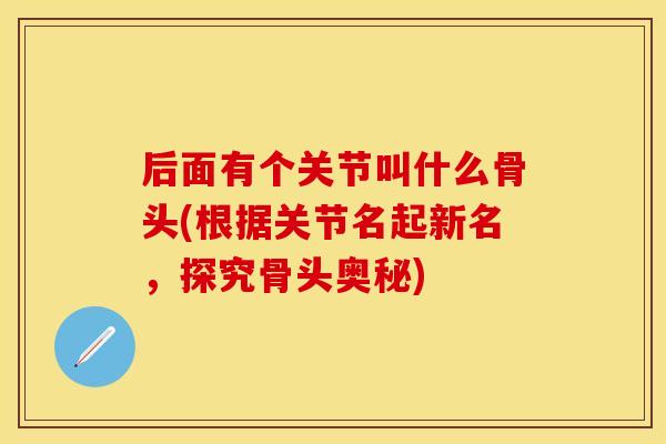 后面有个关节叫什么骨头(根据关节名起新名，探究骨头奥秘)
