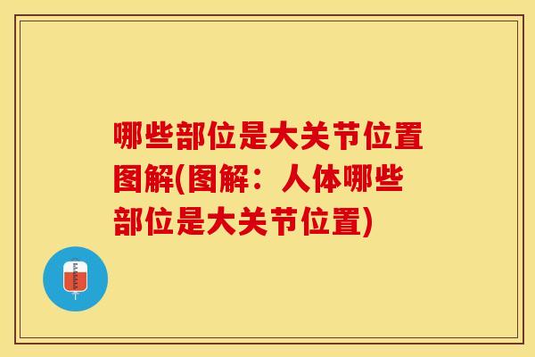 哪些部位是大关节位置图解(图解：人体哪些部位是大关节位置)