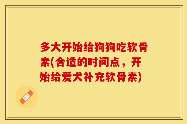多大开始给狗狗吃软骨素(合适的时间点，开始给爱犬补充软骨素)