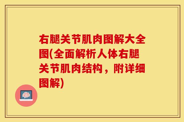 右腿关节肌肉图解大全图(全面解析人体右腿关节肌肉结构，附详细图解)