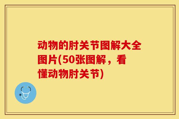 动物的肘关节图解大全图片(50张图解，看懂动物肘关节)
