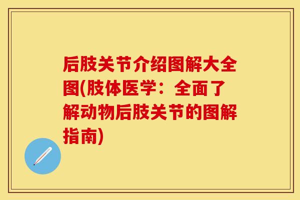 后肢关节介绍图解大全图(肢体医学：全面了解动物后肢关节的图解指南)