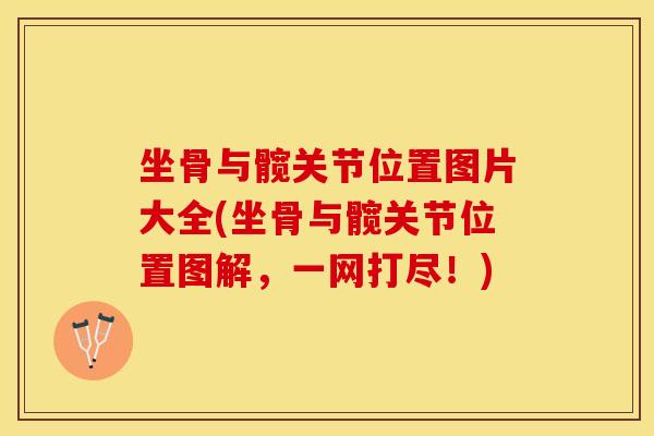 坐骨与髋关节位置图片大全(坐骨与髋关节位置图解，一网打尽！)