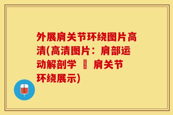 外展肩关节环绕图片高清(高清图片：肩部运动解剖学 – 肩关节环绕展示)