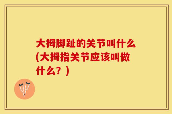 大拇脚趾的关节叫什么(大拇指关节应该叫做什么？)