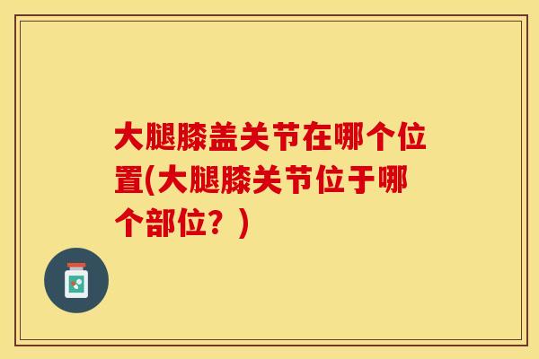 大腿膝盖关节在哪个位置(大腿膝关节位于哪个部位？)