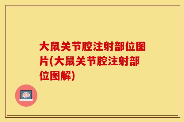 大鼠关节腔注射部位图片(大鼠关节腔注射部位图解)