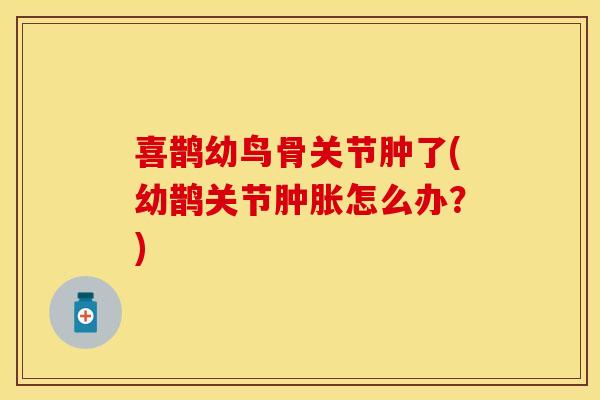 喜鹊幼鸟骨关节肿了(幼鹊关节肿胀怎么办？)