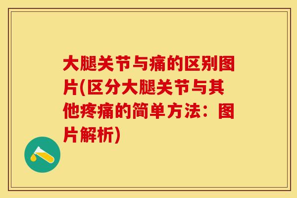 大腿关节与痛的区别图片(区分大腿关节与其他疼痛的简单方法：图片解析)