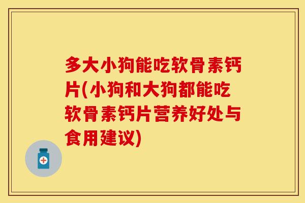 多大小狗能吃软骨素钙片(小狗和大狗都能吃软骨素钙片营养好处与食用建议)