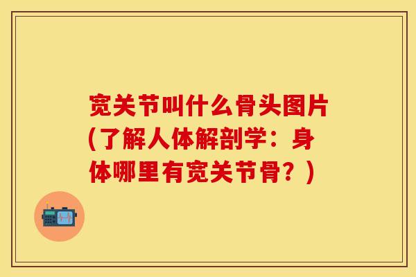 宽关节叫什么骨头图片(了解人体解剖学：身体哪里有宽关节骨？)