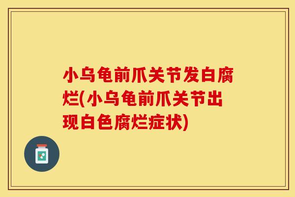 小乌龟前爪关节发白腐烂(小乌龟前爪关节出现白色腐烂症状)
