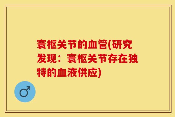 寰枢关节的血管(研究发现：寰枢关节存在独特的血液供应)