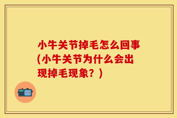小牛关节掉毛怎么回事(小牛关节为什么会出现掉毛现象？)