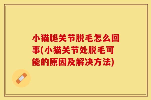 小猫腿关节脱毛怎么回事(小猫关节处脱毛可能的原因及解决方法)