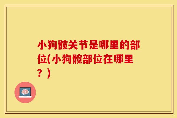 小狗髋关节是哪里的部位(小狗髋部位在哪里？)