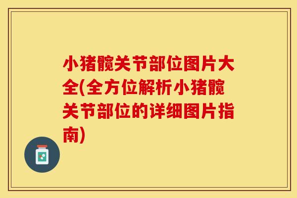小猪髋关节部位图片大全(全方位解析小猪髋关节部位的详细图片指南)-第1张图片-关节保镖