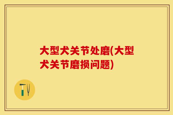 大型犬关节处磨(大型犬关节磨损问题)