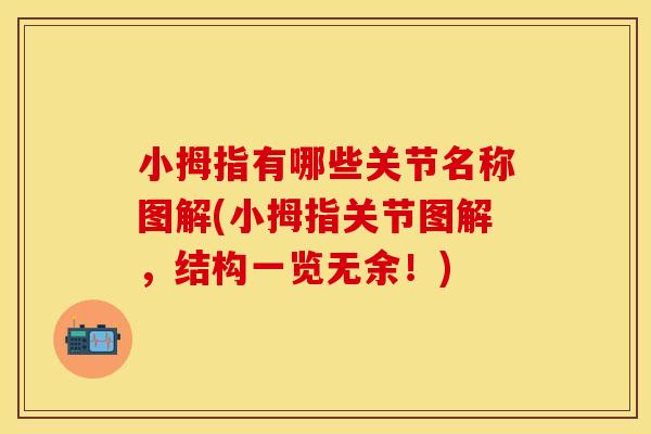 小拇指有哪些关节名称图解(小拇指关节图解，结构一览无余！)