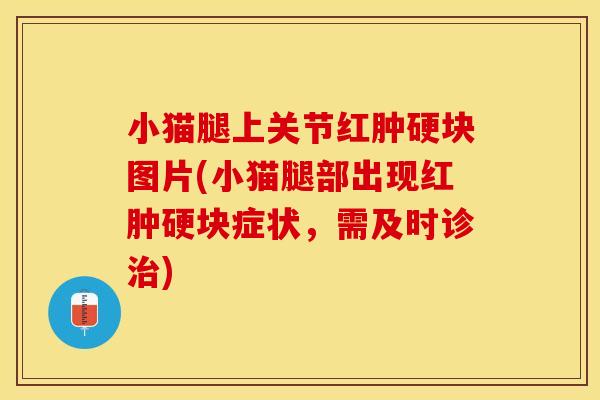 小猫腿上关节红肿硬块图片(小猫腿部出现红肿硬块症状，需及时诊治)
