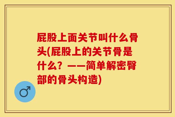 屁股上面关节叫什么骨头(屁股上的关节骨是什么？——简单解密臀部的骨头构造)