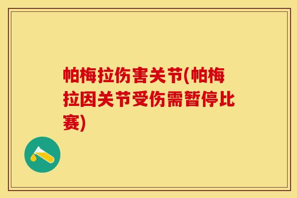 帕梅拉伤害关节(帕梅拉因关节受伤需暂停比赛)