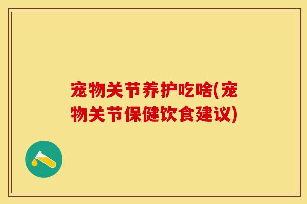 宠物关节养护吃啥(宠物关节保健饮食建议)