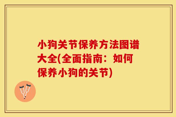 小狗关节保养方法图谱大全(全面指南：如何保养小狗的关节)