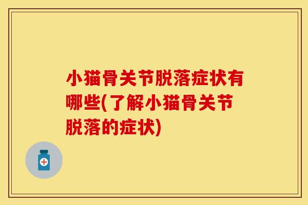 小猫骨关节脱落症状有哪些(了解小猫骨关节脱落的症状)