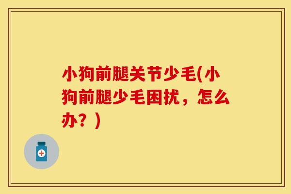 小狗前腿关节少毛(小狗前腿少毛困扰，怎么办？)
