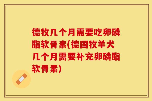 德牧几个月需要吃卵磷脂软骨素(德国牧羊犬几个月需要补充卵磷脂软骨素)