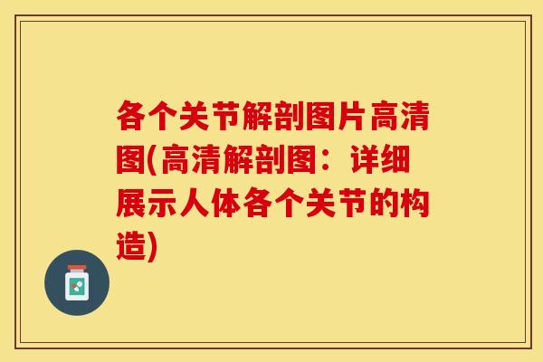 各个关节解剖图片高清图(高清解剖图：详细展示人体各个关节的构造)
