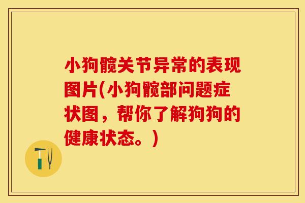 小狗髋关节异常的表现图片(小狗髋部问题症状图，帮你了解狗狗的健康状态。)