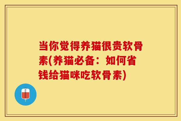 当你觉得养猫很贵软骨素(养猫必备：如何省钱给猫咪吃软骨素)