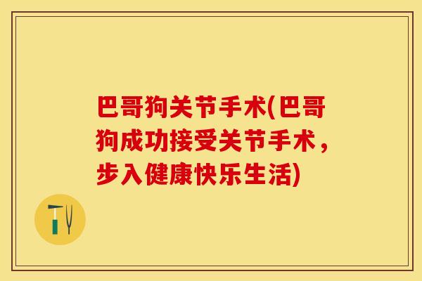巴哥狗关节手术(巴哥狗成功接受关节手术，步入健康快乐生活)