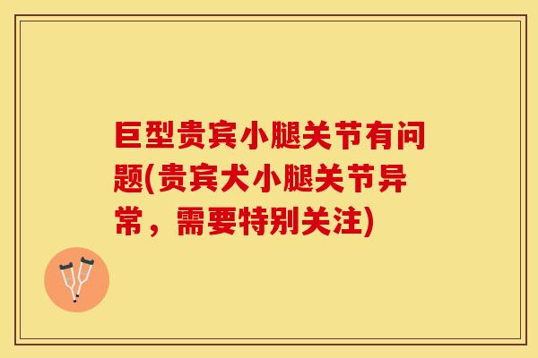 巨型贵宾小腿关节有问题(贵宾犬小腿关节异常，需要特别关注)