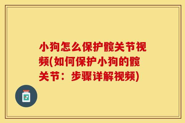 小狗怎么保护髋关节视频(如何保护小狗的髋关节：步骤详解视频)