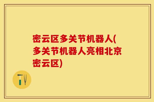 密云区多关节机器人(多关节机器人亮相北京密云区)