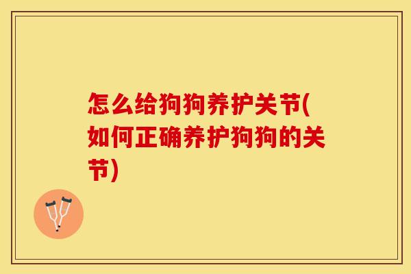 怎么给狗狗养护关节(如何正确养护狗狗的关节)