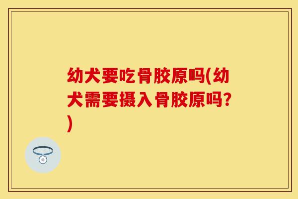 幼犬要吃骨胶原吗(幼犬需要摄入骨胶原吗？)