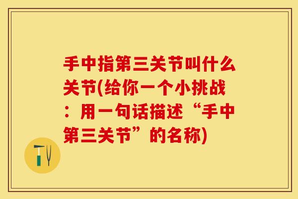 手中指第三关节叫什么关节(给你一个小挑战：用一句话描述“手中第三关节”的名称)