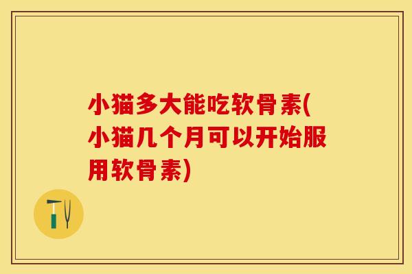 小猫多大能吃软骨素(小猫几个月可以开始服用软骨素)