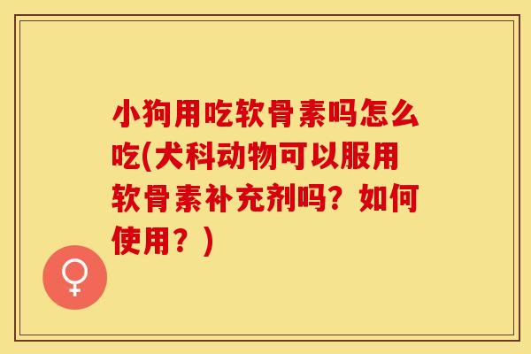小狗用吃软骨素吗怎么吃(犬科动物可以服用软骨素补充剂吗？如何使用？)