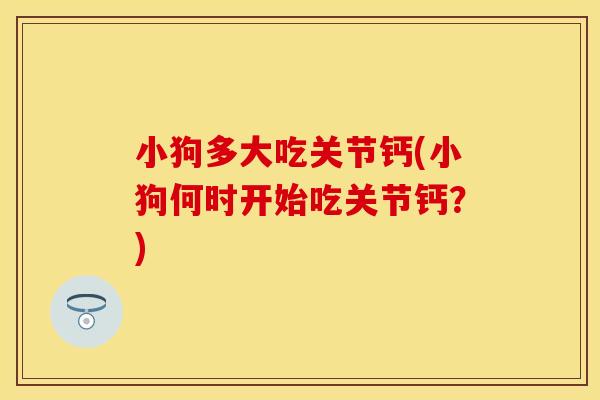 小狗多大吃关节钙(小狗何时开始吃关节钙？)