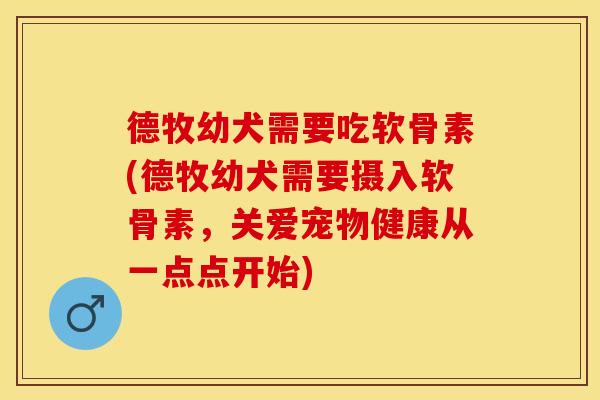 德牧幼犬需要吃软骨素(德牧幼犬需要摄入软骨素，关爱宠物健康从一点点开始)