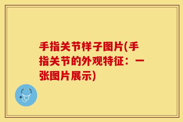 手指关节样子图片(手指关节的外观特征：一张图片展示)