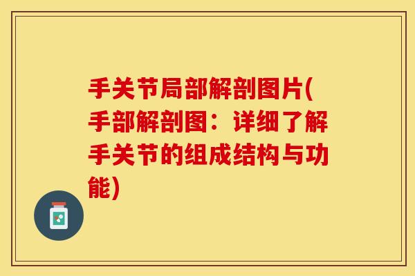 手关节局部解剖图片(手部解剖图：详细了解手关节的组成结构与功能)