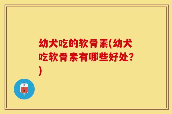 幼犬吃的软骨素(幼犬吃软骨素有哪些好处？)