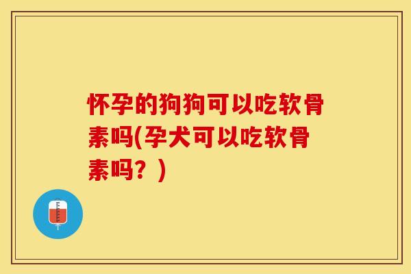 怀孕的狗狗可以吃软骨素吗(孕犬可以吃软骨素吗？)