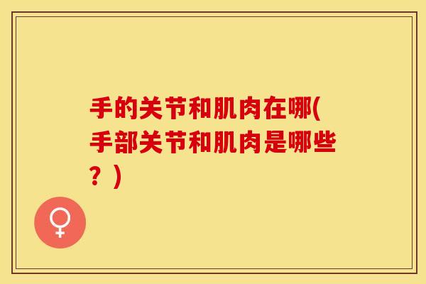 手的关节和肌肉在哪(手部关节和肌肉是哪些？)